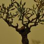 Albero della Vita Abbraccio - h 27 cm